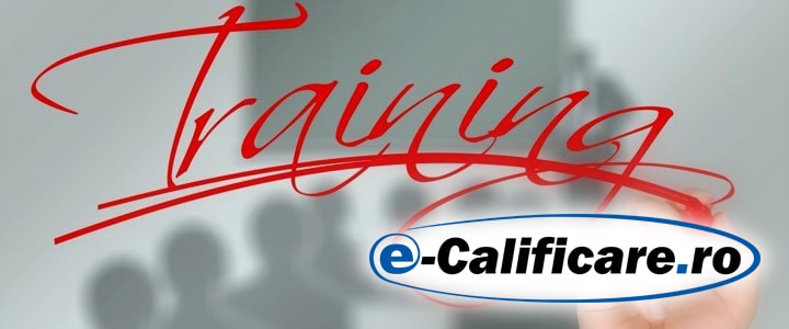 imagine OPERATOR INTRODUCERE VALIDARE SI PRELUCRARE DATE