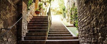 Training și dezvoltare personală