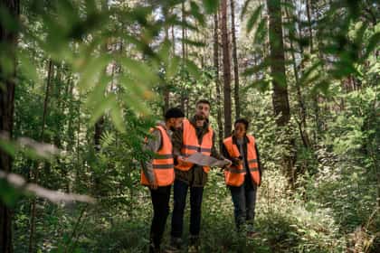 Tehnicieni în veste reflectorizante consultând o hartă, într-o pădure