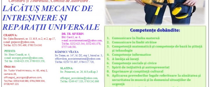 imagine LĂCĂTUȘ MECANIC DE ÎNTREȚINERE ȘI REPARAȚII UNIVERSALE