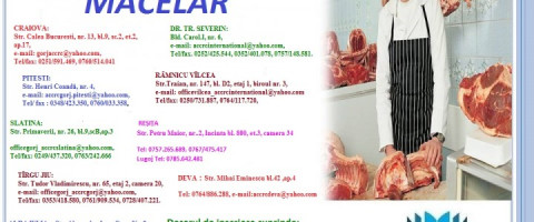 Imagine prezentare Curs de calificare: MĂCELAR