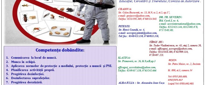 imagine Curs Agent DDD