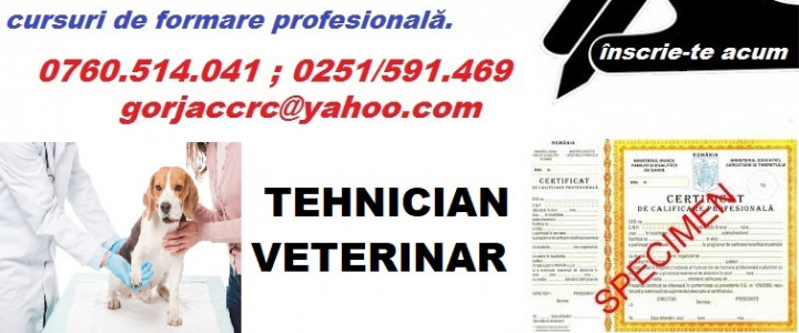 imagine Curs Tehnician Veterinar