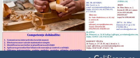 Curs Dulgher Tamplar Parchetar, Craiova, jud. Dolj