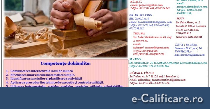 imagine Curs DULGHER TÂMPLAR PARCHETAR