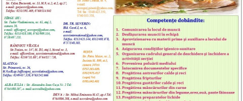 Imagine prezentare Curs Bucătar