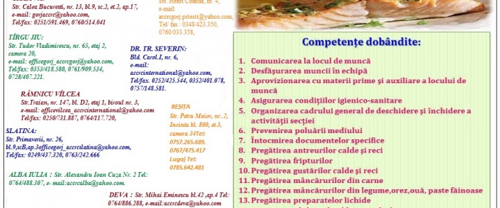 imagine Curs Bucătar