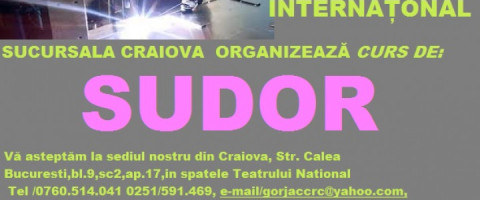 Imagine prezentare Curs Sudor