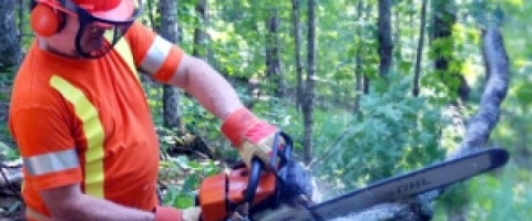 Imagine prezentare LUCRATOR IN SILVICULTURA