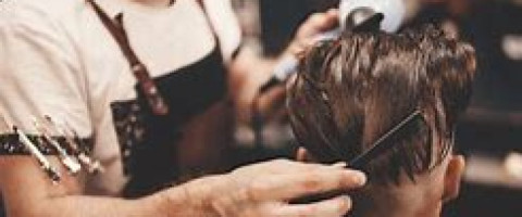 Imagine prezentare FRIZER