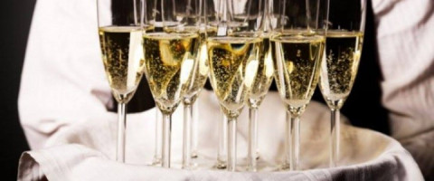 Imagine prezentare OSPATAR( CHELNER) VANZATOR 