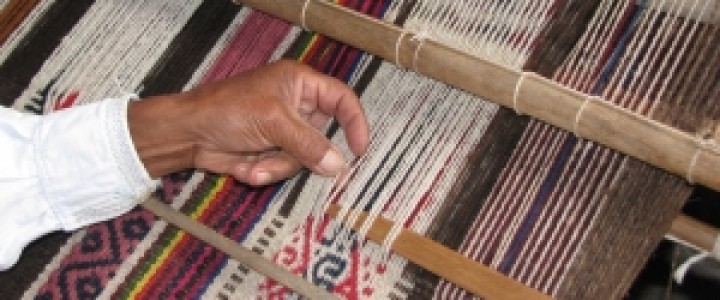 imagine Ţesător manual