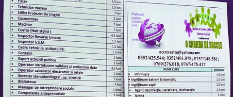 Imagine prezentare Programator sisteme informatice