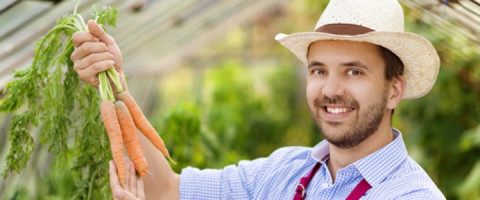 Imagine prezentare LUCRĂTOR CALIFICAT ÎN CULTURI DE CÂMP ȘI LEGUMICULTURĂ 