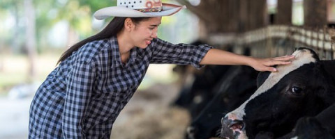 Imagine prezentare LUCRATOR IN CRESTEREA ANIMALELOR