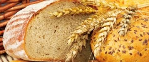 Imagine prezentare BRUTAR