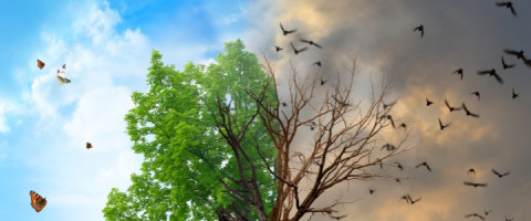 Imagine prezentare Specialist în Managementul Deșeurilor