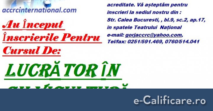 imagine CUR MANAGER DE PROIECT