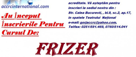 Imagine prezentare FRIZER