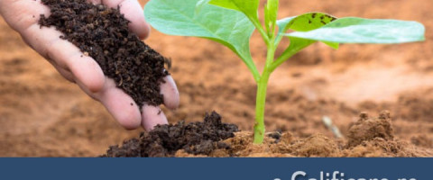 Curs: Lucrator in Cultura Plantelor, Slatina, jud. Olt