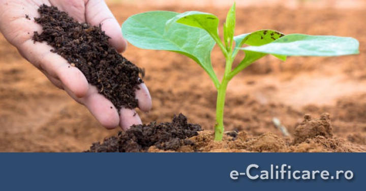 imagine LUCRĂTOR ÎN CULTURA PLANTELOR