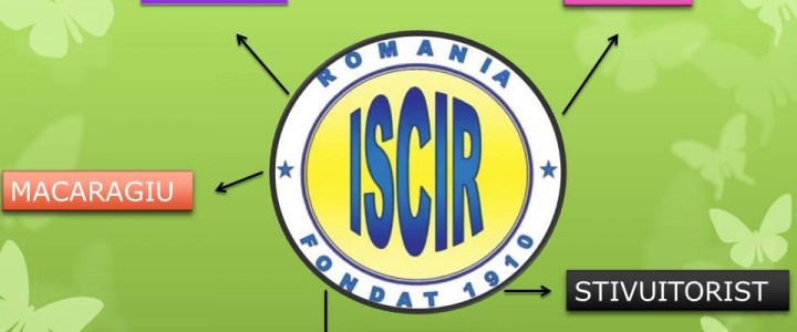 imagine REÎNNOIRE TALOARE AUTORIZAȚIE I.S.C.I.R