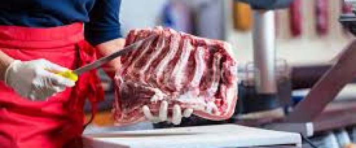 imagine Curs Macelar