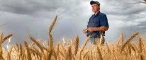 Imagine prezentare Curs Lucrător calificat în culturi de câmp și legumicultură