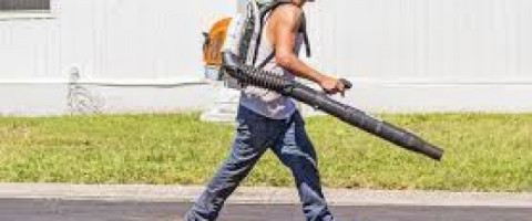 Imagine prezentare Curs Agent de dezinfectie, deratizare, dezinsectie