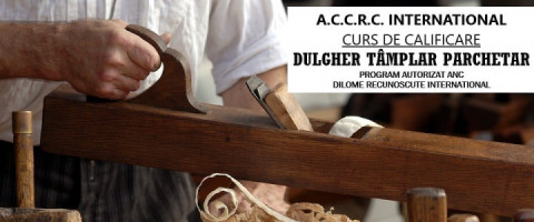 Imagine prezentare DULGHER, TAMPLAR , PARCHETAR