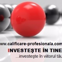 Logo SC INVESTESTE IN TINE SRL-D