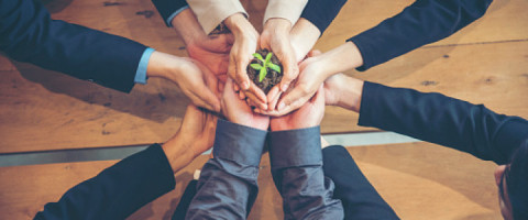 Imagine prezentare Curs: RESPONSABIL de MEDIU