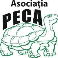 Logo AsociatiaPECA-Psihologie,Educatie, Cultura si Arta