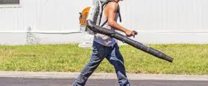 imagine CURS AGENT DEZINFECTIE, DERATIZARE SI DEZINSECTIE