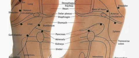 Imagine prezentare Curs Specializare Reflexoterapie 
