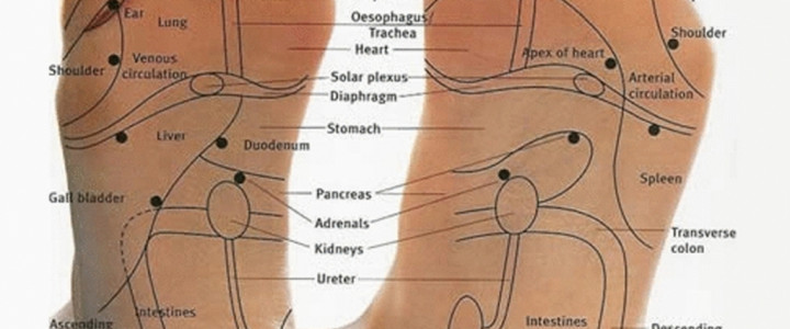 imagine Curs Specializare Reflexoterapie