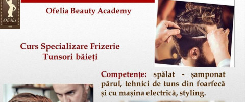 Imagine prezentare Curs de specializare - Frizerie/Tunsori baieti