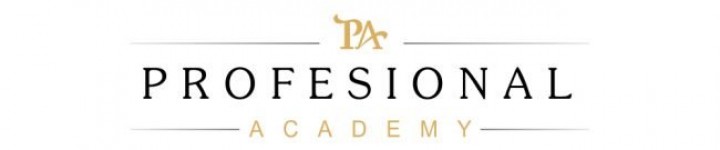 Imagine de prezentare pentru Profesional Academy