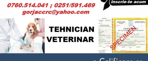 Curs: Tehnician Instalator pentru Constructii, Craiova, jud. Dolj