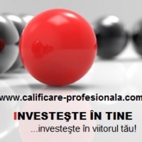 Logo INVESTESTE IN TINE SRL
