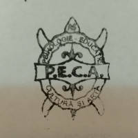 Logo PECA RO TRAINING