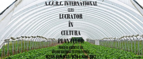 Imagine prezentare Lucrator calificat în culturi de câmp și legumicultor