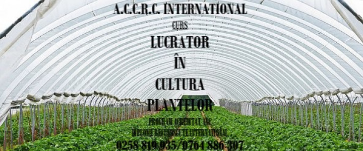 imagine Lucrator calificat în culturi de câmp și legumicultor