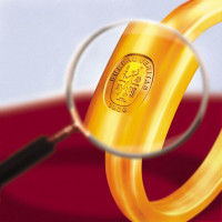 Logo BUREAU VERITAS ROMANIA