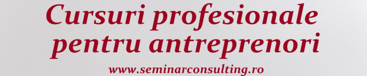 Imagine de prezentare pentru Seminar Consulting