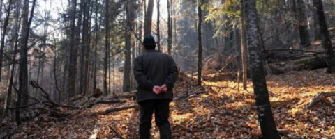 Imagine prezentare Curs Padurar