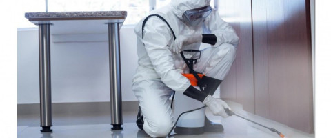 Imagine prezentare Curs: Agent Dezinfecție, Deratizare, Dezinsecție