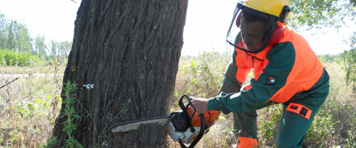 imagine Curs Operator la recoltarea si toaletarea arborilor forestieri (Fasonator mecanic)