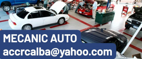 Imagine prezentare MECANIC AUTO