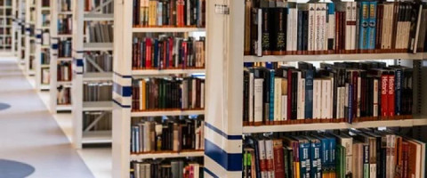 Imagine prezentare BIBLIOTECAR